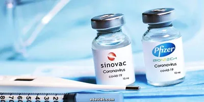 Aşı Randevusu Nasıl Alınır? Covid-19 Aşı Randevu Alma