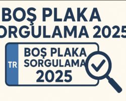 Boş Plaka Sorgulama 2025 – Özel Boş Plakalar Hangileri?
