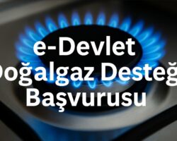 e-Devlet Doğalgaz Desteği Başvurusu